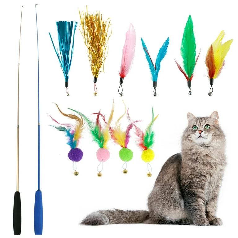 Interactive Cat Toys Retractable Wand Toy and Feather Toys for Indoor Cats